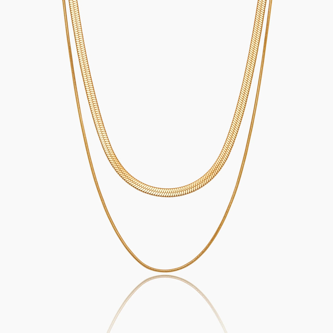 Double Snake Chain Layered Necklace